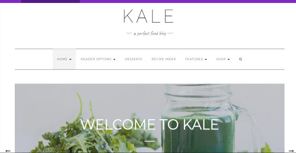 kale-–-mailchimp-integration-wordpress-theme