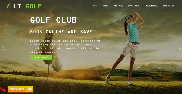 lt golf – custom wordpress theme