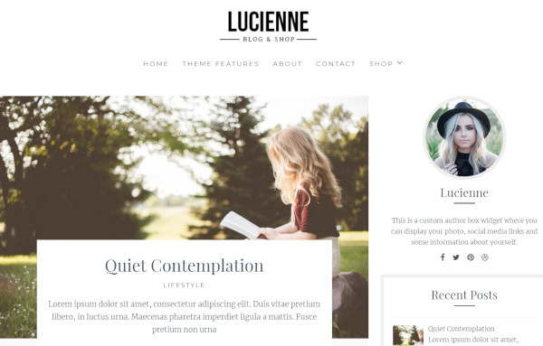 lucienne-–-customized-wordpress-theme