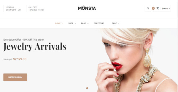 monsta – 80 pre made themes wordpress theme