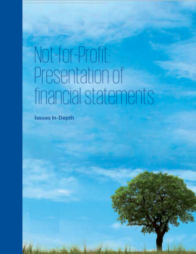 nonprofit presentation of financial statements