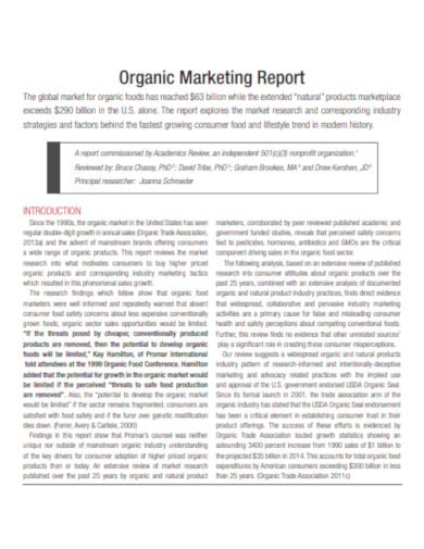 organic marketing report template