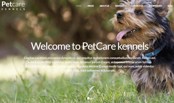 pet care dog kennels parallax wordpress theme