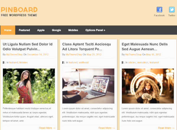 pinboard social media widgets wordpress theme