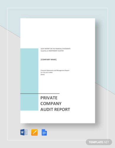 private company audit report