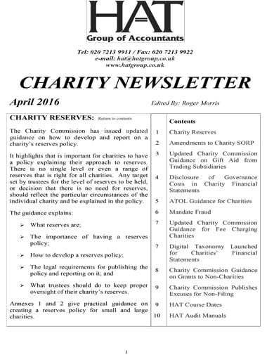 professional fundraising newsletter template