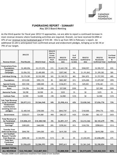 professional fundraising report