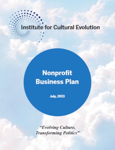 professional non profit business plan