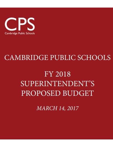 professional school budget template