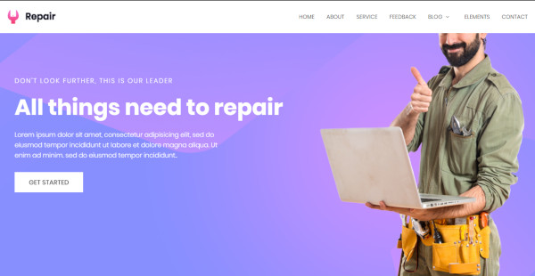 repair custom wordpress theme