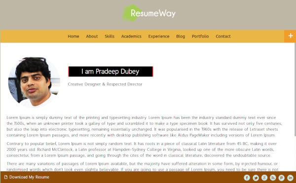 resumeway responsive wordpress theme