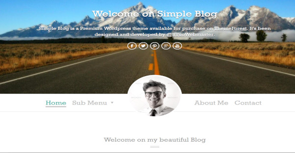 simple blog – customer friendly wordpress theme