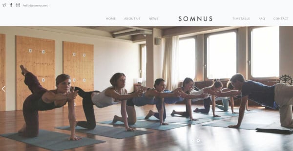 somnus – custom menu integrated wordpress theme