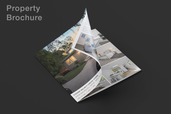 standard-real-estate-property-brochure-in-psd