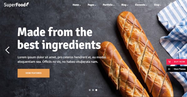 superfood-–-user-friendly-wordpress-theme