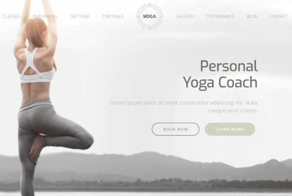 yoga custom widgets wordpress theme