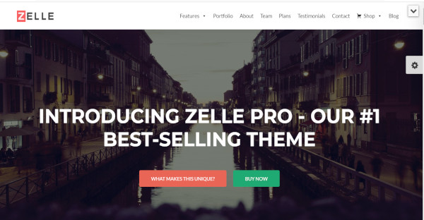 zelle-pro-–-22-premium-pre-built-demo-wordpress-theme