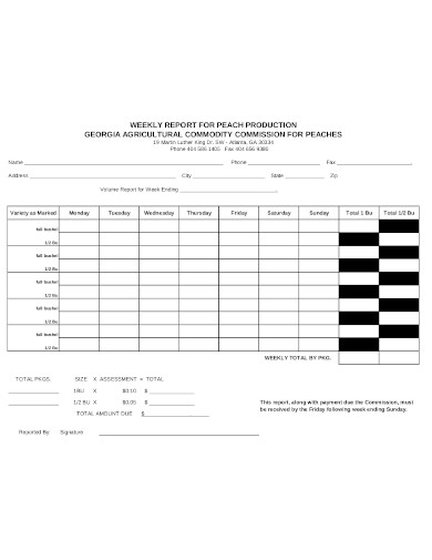 8 weekly production report templates pdf doc