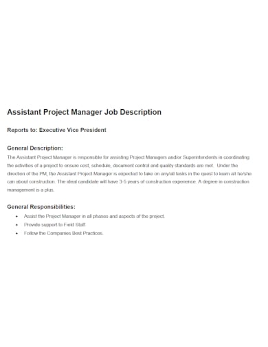 Assistant project job description