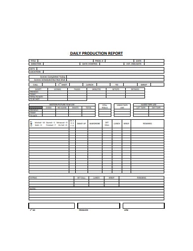 basic production daily report