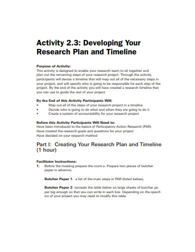 basic research plan timeline example