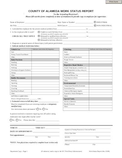 basic-work-status-report-in-pdf