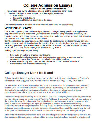 college admission essays template