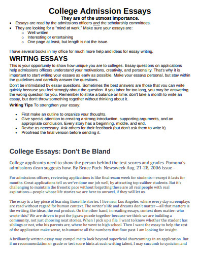 tips for writing college essays