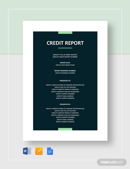 credit report template
