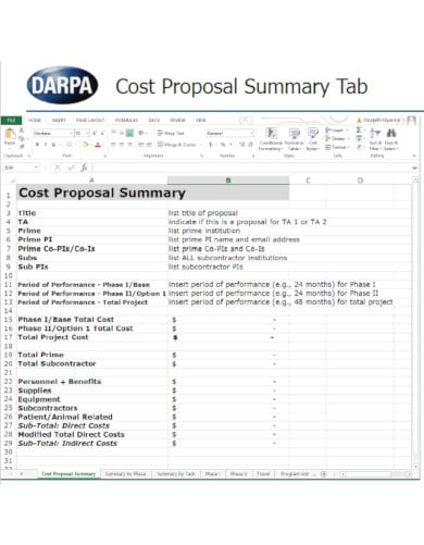 default project budget template