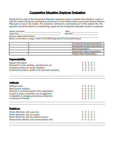 employer evaluation template