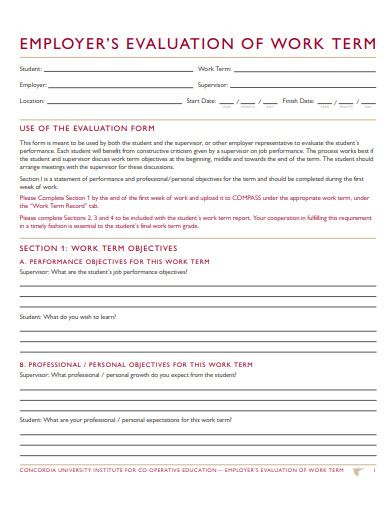 18+ Employer Evaluation Templates - PDF