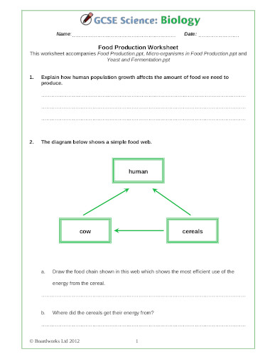 food-production-worksheet-template