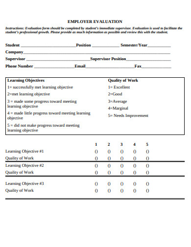 formal employer evaluation template