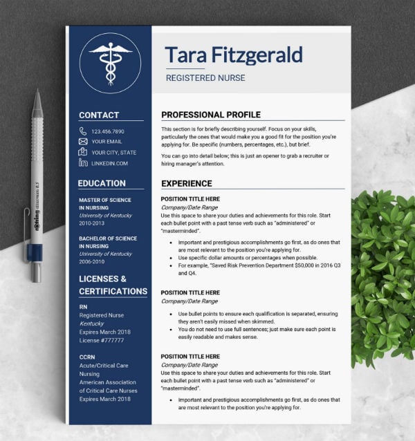10+ Travel Nursing Resume Templates - MS Word, Apple Pages, Photoshop