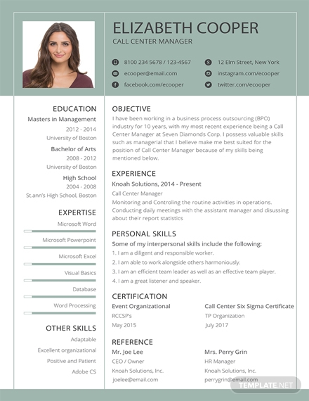 9+ InDesign BPO Resume Templates - Sample, Example, Format