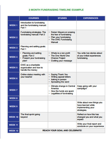 12+ Fundraising Timeline Templates - Google Docs, Word, Pages, PPT