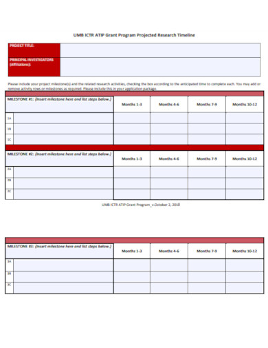 grant program projected research timeline template