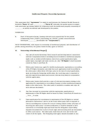 intellectual property ownership agreement in doc