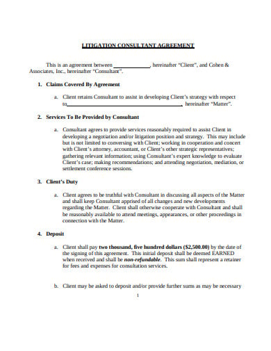 litigation-consultant-agreement-template