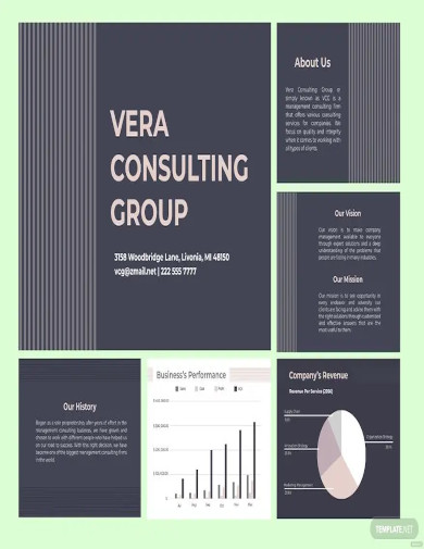 management consulting company profile