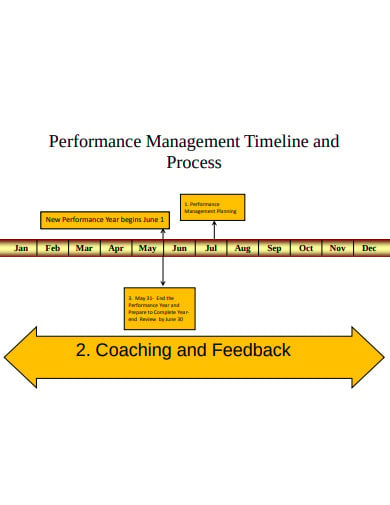 management-timeline-and-process