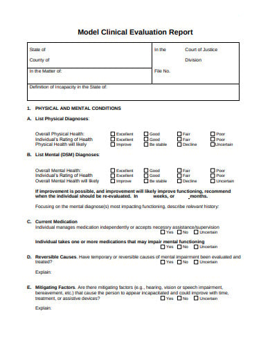 model clinical evaluation report example