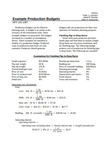 production budget example