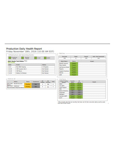 production daily health report template