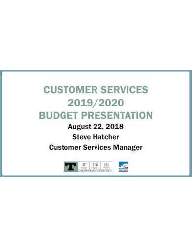 professional customer service budget template