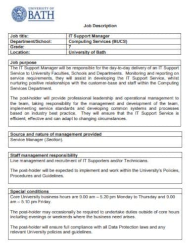 professional it job description template