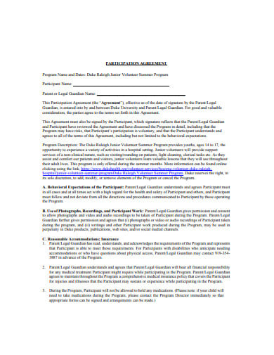 professional participation agreement example