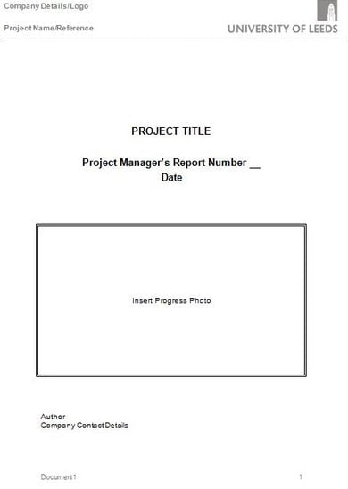professional-project-report-template
