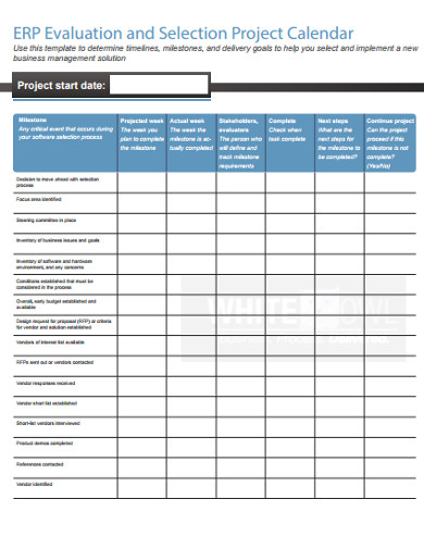 26+ Project Calendar Templates - PDF, Word